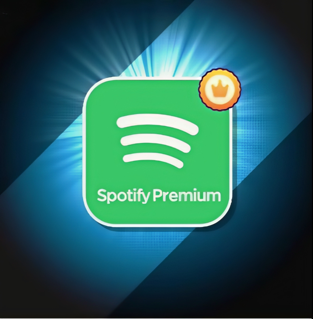 SPOTIFY PREMIUM